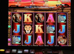 壹号平台app最新版